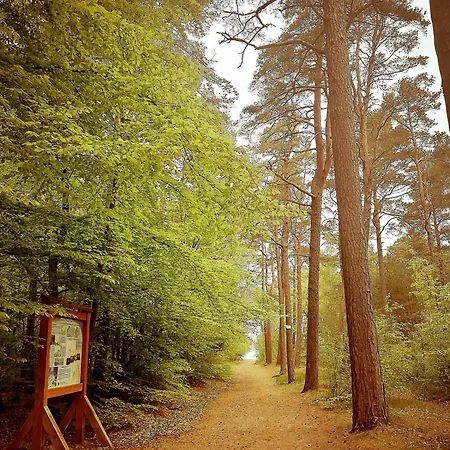 Letniskowe - Lesne Zacisze