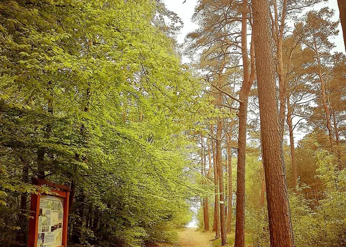 Letniskowe - Lesne Zacisze